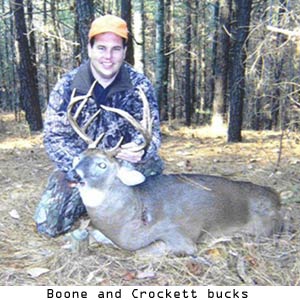 Boone and Crockett Bucks